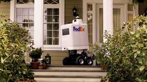 day delivery robot