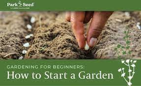 Gardening For Beginners How To Start A