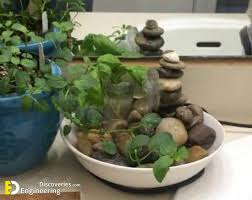 18 Amazing Indoor Rock Garden Ideas