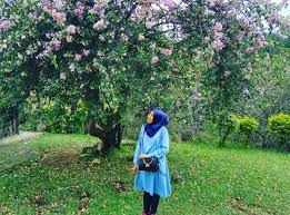 Pada kesempatan kali ini saya akan bunga adalah sebuah tumbuhan yang digemari di seluruh dunia karena tampilannya yang indah dan cantik yang sangat sedap dipandang mata. 7 Tempat Wisata Di Indonesia Dengan Spot Bunga Sakura Cantik