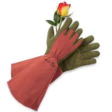 7 Best Gardening Gloves Of 2023 For