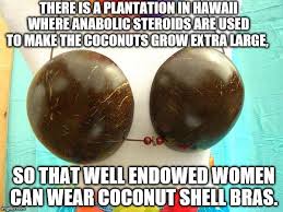 Image tagged in boobs,coconut shells - Imgflip