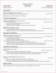Sample Resume For Engineering College Professor Resume For College