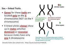 Amoeba sisters mnemonic for taxonomy levels in classification. Genetics Notes Gregor Mendel By Teachers Pet 5 Min Ppt Download