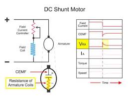 what is a dc shunt motor you