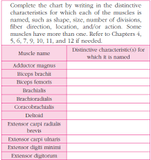 Solved Muscle Nomenclature Chart Chegg Com