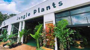 Lidas jungle plants