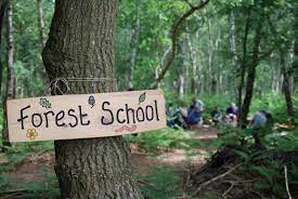 Forest School – Central Primary School