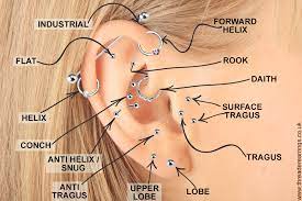 ear piercing diagram myth and silver