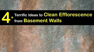 Cleaning Efflorescence Ways To Get