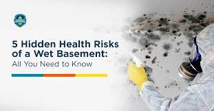 5 Health Risks For Wet Basement
