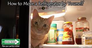 To put it simply there are 3 steps by the working principle of a refrigerator (and refrigeration, in general) is very simple: How To Move A Refrigerator By Yourself Refrigerator Moving Guide Mymovingreviews