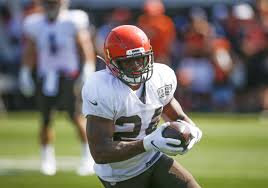 Browns Running Back Chubb Poised For Breakout Season