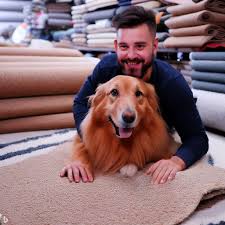 pet friendly carpet