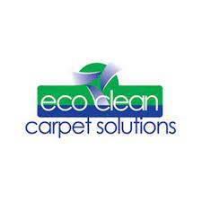 14 best knoxville carpet cleaners