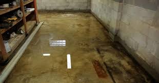 Basement Waterproofing Contractors