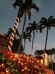 Kihei Christmas Lights Christmas Lights Wind Turbine