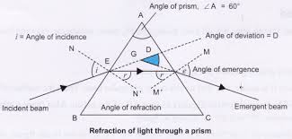 NCERT Class 10 Science Lab Manual Refraction Through Prism - CBSE Tuts