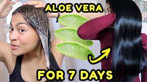 i used aloe vera in my hair for 7 days