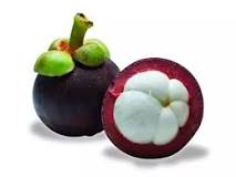 Why is mangosteen not allowed in hotels?