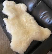 pet sheepskin rug large white