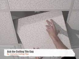 Ceiling Tiles How To Replace You