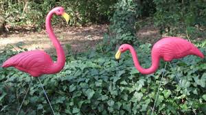 The Plastic Pink Flamingo Yard Ornament