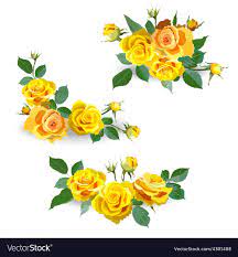 fl background with yellow roses