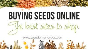 ing seeds the best s