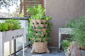 Urban Gardeners Can Grow Vegetables Too