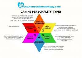 Puppy temperament tests can tell you whether a pup is prone to dominance or submission, although training can alter some of those tendencies. Perfect Character Perfect Match Puppy