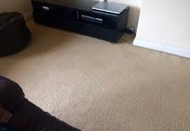 fantastic services carpet cleaning