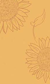 sunflower iphone wallpaper free phone