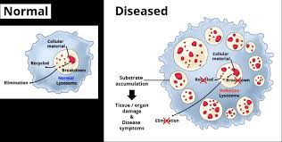 lysosomal disorders avrobio