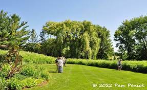 Native Prairie Garden Replaces Half The