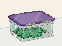 Check spelling or type a new query. 3 Easy Ways To Activate Slime Without Activator Wikihow