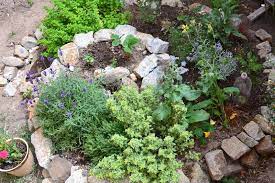 Spring Care Tips For Your Herb Garden
