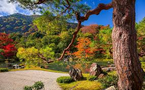 Fall Autumn Japan Colors Lake Pond