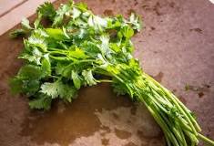 What is half a bunch of cilantro?