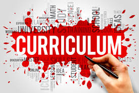 Image result for curriculum images