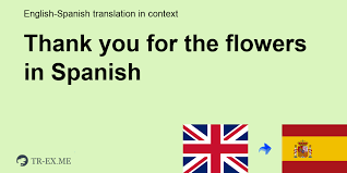 We did not find results for: Thank You For The Flowers In Spanish Translation