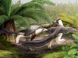 We did not find results for: Discovery Of Raptor Like Dinosaur Adds A New Wrinkle To The Origin Of Birds Science Smithsonian Magazine