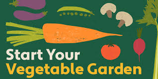 Vegetable Garden Grow Your Own Food