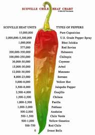 Scoville Chile Heat Chart Near The Top Is Bhut Jolokia