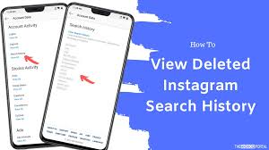 how to delete insram search history