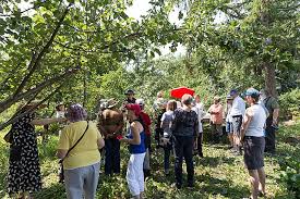 Community Orchards Bear More Than Fruit
