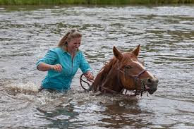 colorado dude ranch all inclusive