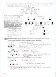 Pedigree Charts Worksheet Worksheet Fun And Printable