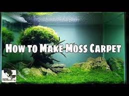 how to make moss carpet membuat