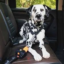 The Car Companion 1 Dog Seatbelt